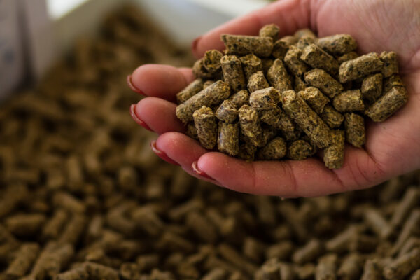 Pure Condition Pellets