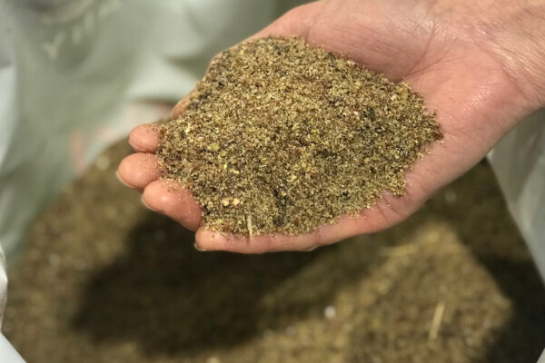 Pure Linseed