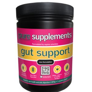 Pure Gut Support