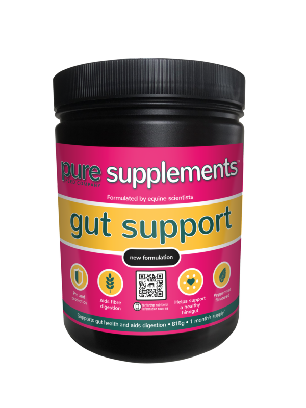 Pure Gut Support