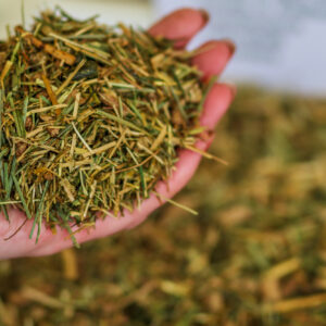 Echantillons de Pure Feed