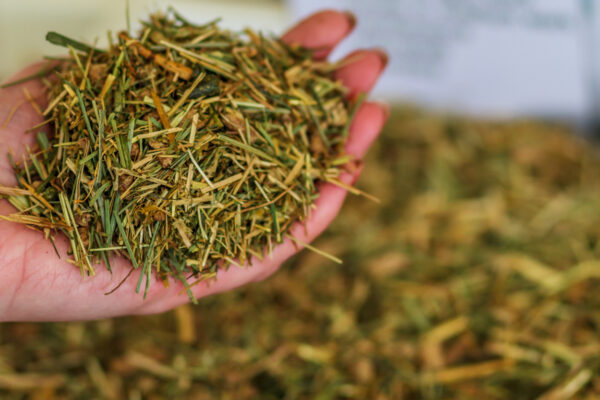 Echantillons de Pure Feed