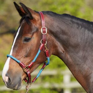 Licol Pure Headcollar taille Poney